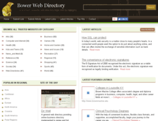bowerwebsolutions.us screenshot