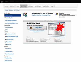 bpftp.com screenshot