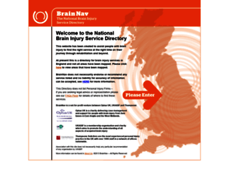 brainnav.info screenshot
