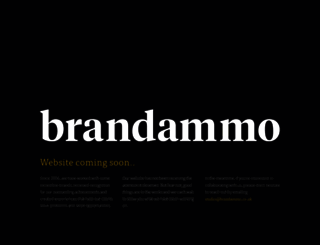 brandammo.co.uk screenshot