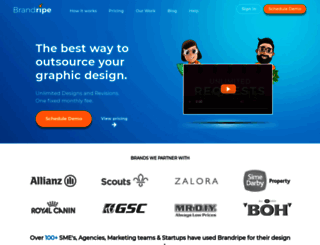 brandripe.com screenshot