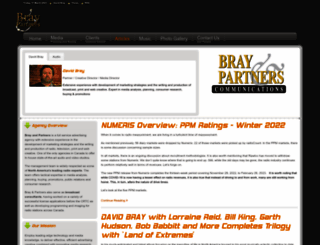 brayandpartners.com screenshot