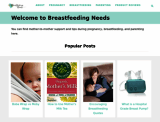 breastfeedingneeds.com screenshot