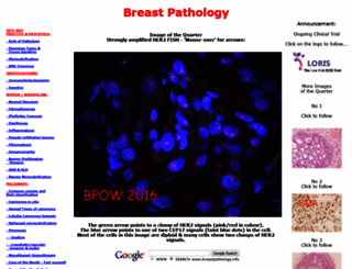 breastpathology.info screenshot
