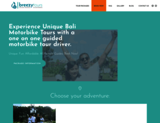 breezytours.com screenshot