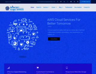 briansoftglobalservices.com screenshot