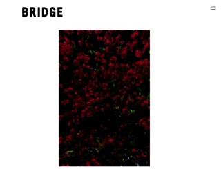 bridge-31.com screenshot