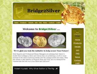 bridge2silver.com screenshot
