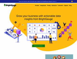 brightgauge.com screenshot