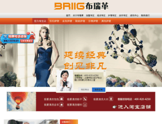 briig.com screenshot