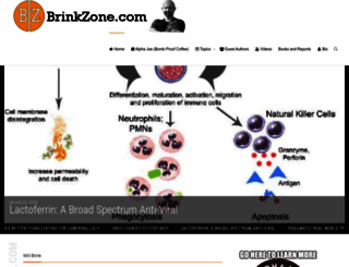 brinkzone.com screenshot