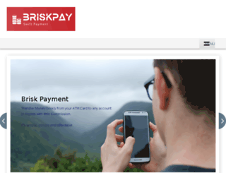 briskpay.com.ng screenshot