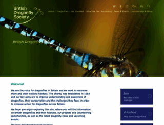british-dragonflies.org.uk screenshot