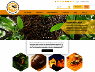 britishbee.org.uk screenshot