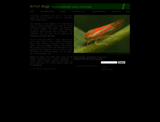 britishbugs.org.uk screenshot
