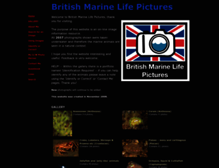 britishmarinelifepictures.co.uk screenshot