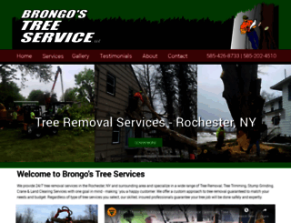 brongostree.com screenshot