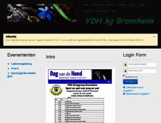 bronsheim.com screenshot