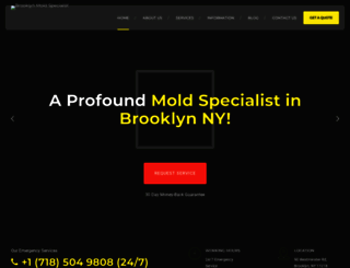 brooklynmoldspecialist.com screenshot