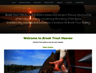 brooktroutheaven.com screenshot