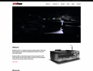bropenny.com screenshot