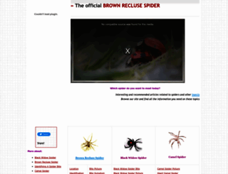 brownreclusespider.org screenshot