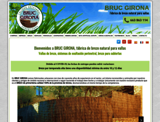 brucgirona.com screenshot