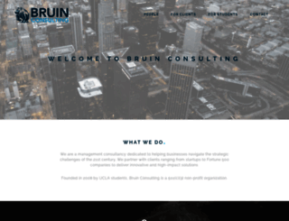 bruinconsulting.org screenshot