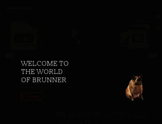 brunner.eu screenshot