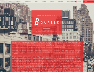 bscaler.com screenshot