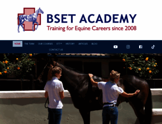bsetacademy.co.za screenshot