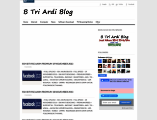 btriardiblog.blogspot.com screenshot