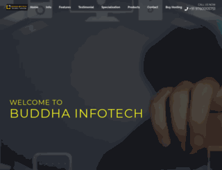 buddhainfotech.com screenshot