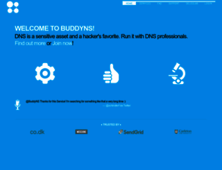 buddyns.com screenshot