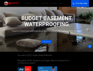 budgetbasement.com screenshot