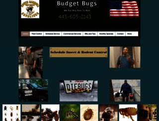 budgetbugs.com screenshot
