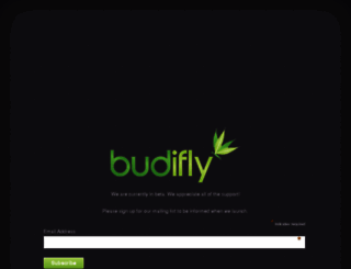 budifly.com screenshot