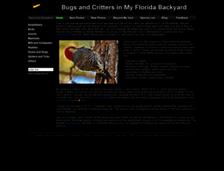 bugphotos.net screenshot