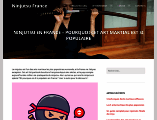 bujinkan-france.com screenshot