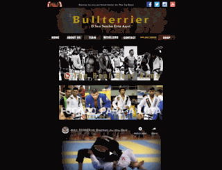 bullterrier.co.jp screenshot