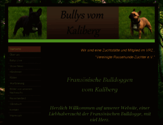 bullysvomkaliberg.de screenshot