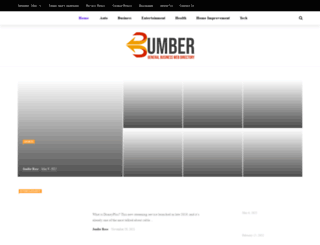 bumber.info screenshot