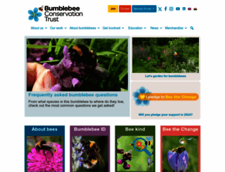 bumblebeeconservation.org screenshot
