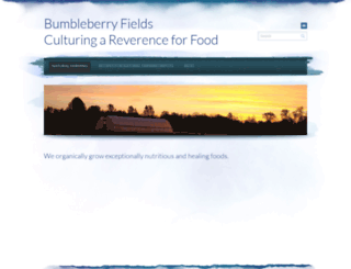bumbleberryfields.com screenshot