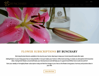 bunchary.com screenshot