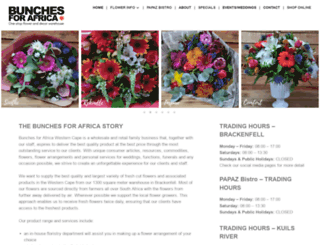 bunchesforafrica.com screenshot