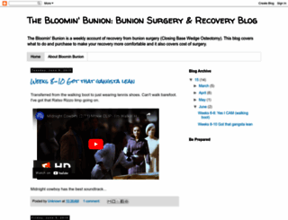 bunioninfo.blogspot.com screenshot