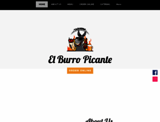 burropicante.com screenshot