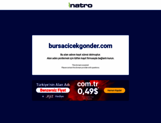 bursacicekgonder.com screenshot
