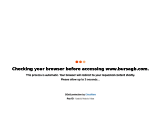 bursagb.com screenshot